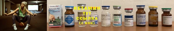 сатива Гусиноозёрск