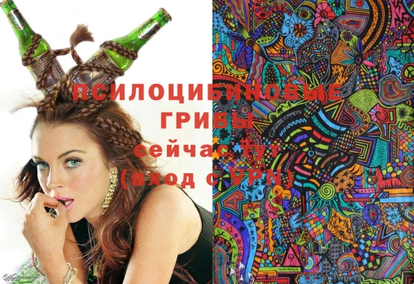 меф Гусь-Хрустальный