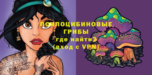меф Гусь-Хрустальный