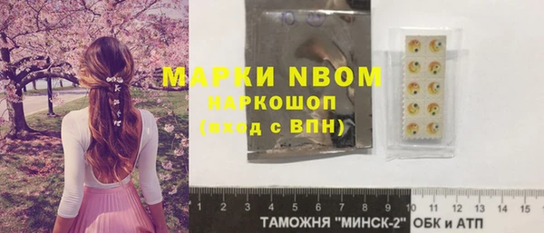 сатива Гусиноозёрск