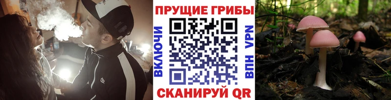 Галлюциногенные грибы мицелий  Купить  Ликино-Дулёво 